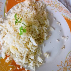 rice with vegetables