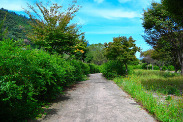 An old parkway with few traces of people