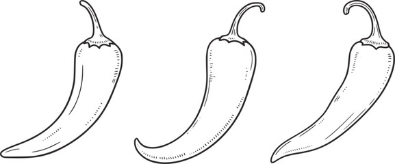 Three black and white chili peppers food drawing