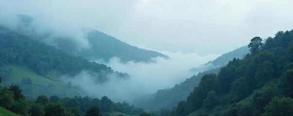 Misty Spring Landscape Ethereal Mystery and Serene Nature Scene, Ideal for Fantasy, Mystery, or Nature-Themed Projects. Perfect Background or Overlay.