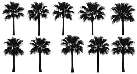 Fototapeta premium Silhouettes of ten palm trees arranged in two rows against a white background