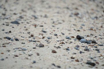 Footprints on soft beach sand, symbolizing a peaceful walk and moments of solitude by the sea