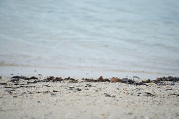 Footprints on soft beach sand, symbolizing a peaceful walk and moments of solitude by the sea