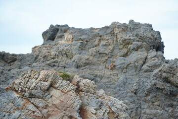 Layered rock formation with small patches of grass growing through its cracks, symbolizing the harmony and resilience of nature.