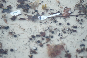 plastic waste and debris, including a blister pack of pills and a plastic fork, floating in shallow seawater among small twigs and leaves — highlighting marine pollution and human impact on coastal 