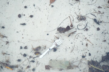 plastic waste and debris, including a blister pack of pills and a plastic fork, floating in shallow seawater among small twigs and leaves — highlighting marine pollution and human impact on coastal 