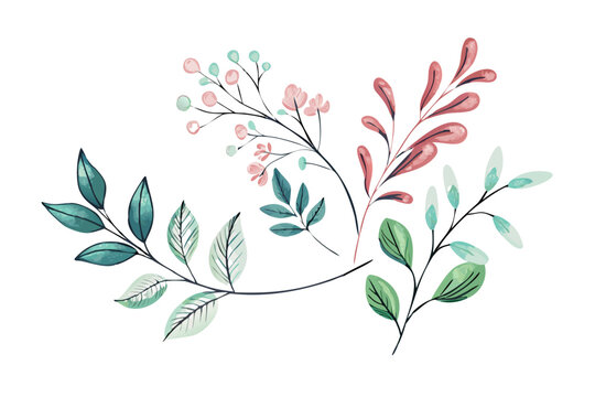 flower and leaf