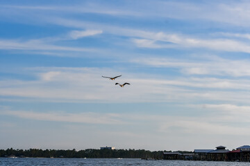 October in Orange Beach, Alabama
