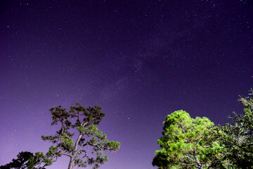 October Sky in Orange Beach, Alabama, Milky Way, Moon, Stars