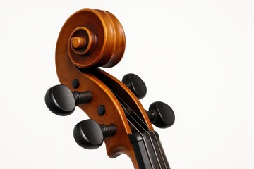 Cello scroll and pegbox macro isolated on white shallow depth rendering pegs and chamfers in crisp detail warm amber varnish elegant instrument close study
