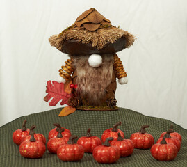 Pumpkin patch gnome watching over his pumpkin patch!