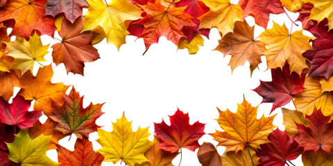 Vibrant autumn maple leaves forming a circular frame with a dark empty space in the center isolated on transparent background