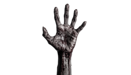 Zombie hand isolated on a transparent background.