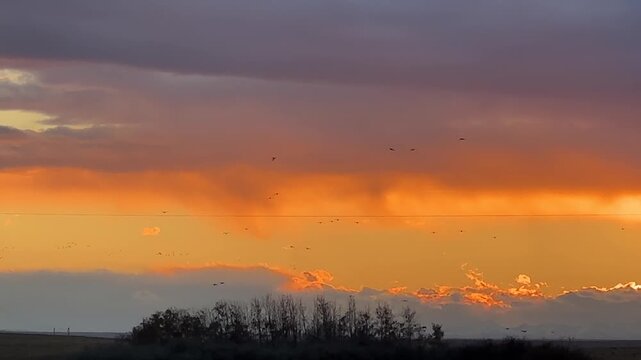 The final light of day stretches across wide open fields, casting long shadows and filling the clouds with vibrant gold and soft lavender tones at sunset.