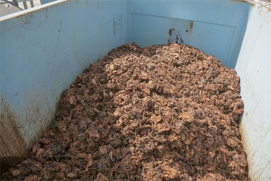 olive pomace pile in factory leftover container