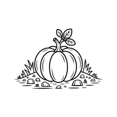 Hand drawn illustration of a pumpkin growing in a field