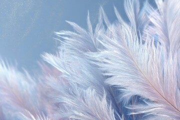 Obraz premium Soft, feathery wisps in shades of white and light purple gently float against a pale blue background