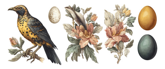 Bird with Flowers and Eggs on Transparent Background