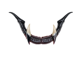 Isolated scorpion pincers with black exoskeleton and white sharp claws open transparent background