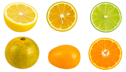 Obraz premium Citrus Fruits Cross-Section Assortment Slice Arrangement Isolated On Transparent Background
