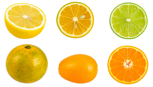 Citrus Fruits Cross-Section Assortment Slice Arrangement Isolated On Transparent Background