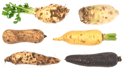 Varied Vegetables on Checkered Design: Fresh Cuts of Garden Bounty