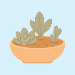 Minimalist illustration of potted succulents in a terracotta bowl on light blue background. Perfect for home decor, nature, and botanical design projects.