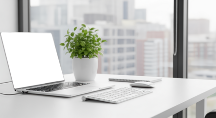 Modern Office Desk With Laptop Plant and Keyboard Facing Large Window with City View