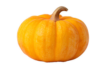 orange pumpkin isolated on white background