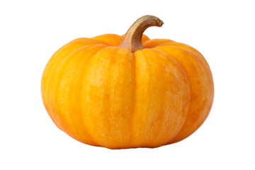orange pumpkin isolated on white background