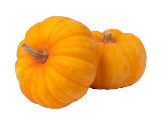 two pumpkins on white background.