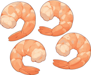 4つのむきエビのイラスト