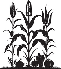 Black silhouette illustration of corn plant with pumpkins and leaves decoration