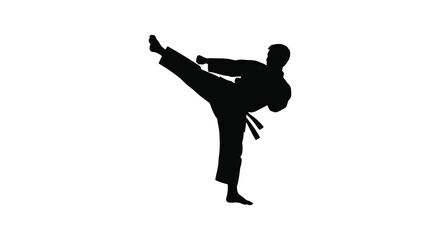 Dynamic martial arts silhouette of a person performing a powerful high side kick in a karate uniform silhouette