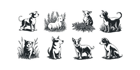 Group of diverse dog breeds in various poses and settings