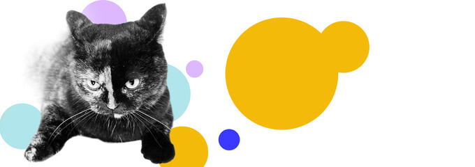 Funny kitten with speech bubbles and bright geometric shapes emotions, doodle elements banner background. Art collage digital pop modern art