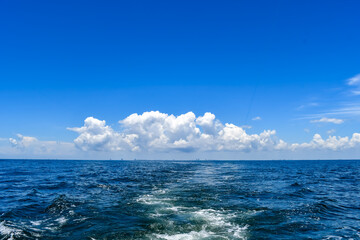 July in Orange Beach, Alabama