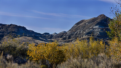 Fall foliage in badlands provincial park