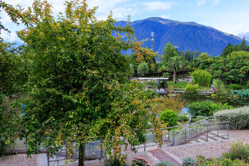 Gardens of Trauttmansdorff Castle with mountain panorama and water lily pond, flowers, trees and plants near Merano, South Tyrol, Italy