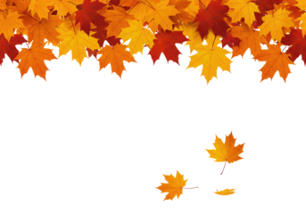 A Close-Up of Autumn Leaves with a Black Center for Text, Cut Out, Clipping Path, Isolated on a Transparent PNG Background.