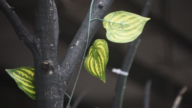 Artificial plastic or fabric leaf designed to replicate natural Dieffenbachia or Aglaonema tropical leaf texture.