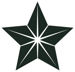 Modern geometric star icon with dark polygonal facets and radial lines