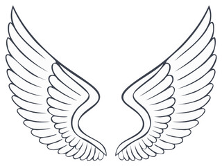 Pair of Elegant Angel Wings, Spread Flight, Artistic Outline Drawing Style