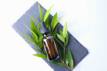 Brown glass bottles with dropper caps placed on a black slate board surrounded by green leaves. Perfect for beauty branding, wellness promotions, eco product, organic essential oil or herbal skincare