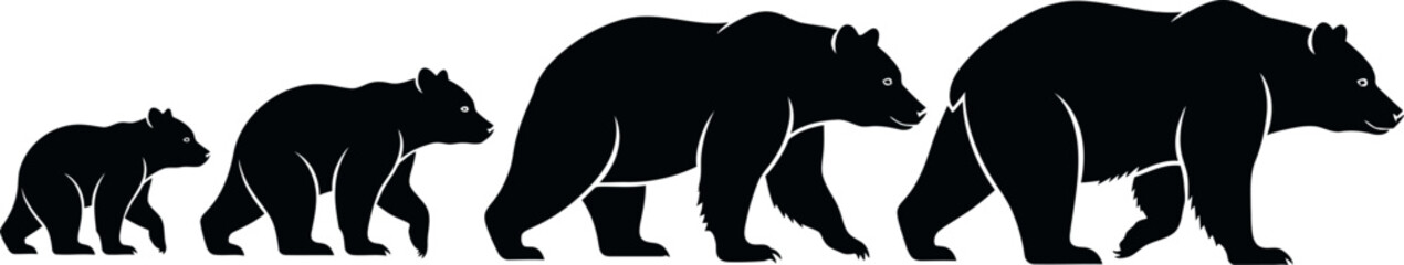 Bear Lifecycle Silhouette Vector Illustration Graphic