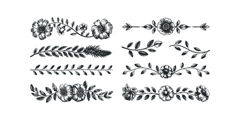 Floral Borders and Botanical Dividers Hand Drawn Elements
