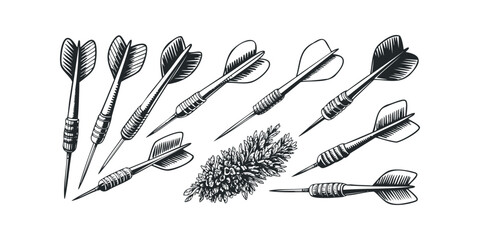 Group of darts and botanical sprig isolated on white