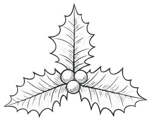 Christmas holly branch illustration with berries, black and white line art drawing for holiday design.