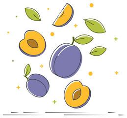 Stylized Plums and Leaves Arrangement with Outline on White Background