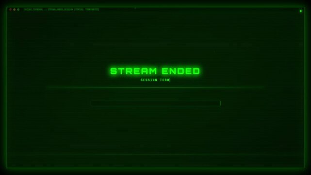 Terminal Interface with Glitch Effects and Binary Rain Animation